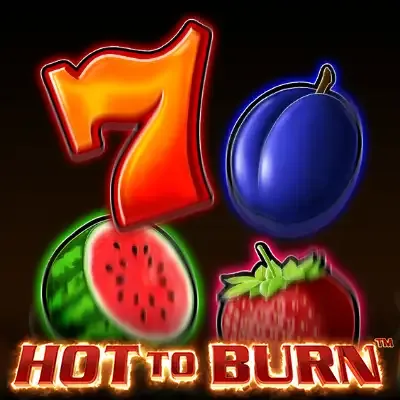 Hot to burn game cover